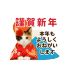 冬♡年末年始のねこの日常（個別スタンプ：20）