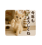 冬♡年末年始のねこの日常（個別スタンプ：21）