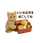 冬♡年末年始のねこの日常（個別スタンプ：24）