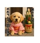 毎年使える♡ゴールデンレトリバー年末年始（個別スタンプ：1）