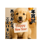 毎年使える♡ゴールデンレトリバー年末年始（個別スタンプ：3）