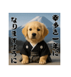 毎年使える♡ゴールデンレトリバー年末年始（個別スタンプ：4）