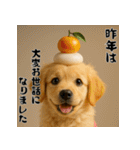 毎年使える♡ゴールデンレトリバー年末年始（個別スタンプ：5）