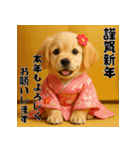 毎年使える♡ゴールデンレトリバー年末年始（個別スタンプ：6）