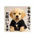 毎年使える♡ゴールデンレトリバー年末年始（個別スタンプ：7）