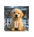 毎年使える♡ゴールデンレトリバー年末年始（個別スタンプ：8）