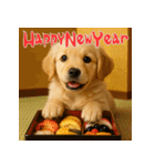 毎年使える♡ゴールデンレトリバー年末年始（個別スタンプ：9）