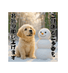 毎年使える♡ゴールデンレトリバー年末年始（個別スタンプ：11）
