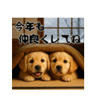 毎年使える♡ゴールデンレトリバー年末年始（個別スタンプ：13）
