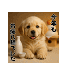 毎年使える♡ゴールデンレトリバー年末年始（個別スタンプ：15）