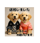 毎年使える♡ゴールデンレトリバー年末年始（個別スタンプ：16）