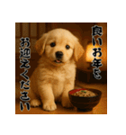 毎年使える♡ゴールデンレトリバー年末年始（個別スタンプ：18）