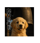 毎年使える♡ゴールデンレトリバー年末年始（個別スタンプ：20）