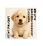 毎年使える♡ゴールデンレトリバー年末年始（個別スタンプ：22）