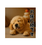 毎年使える♡ゴールデンレトリバー年末年始（個別スタンプ：25）