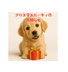 毎年使える♡ゴールデンレトリバー年末年始（個別スタンプ：26）