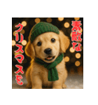 毎年使える♡ゴールデンレトリバー年末年始（個別スタンプ：27）
