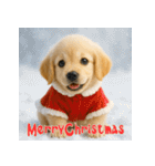 毎年使える♡ゴールデンレトリバー年末年始（個別スタンプ：28）