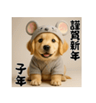 毎年使える♡ゴールデンレトリバー年末年始（個別スタンプ：29）