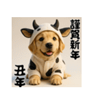 毎年使える♡ゴールデンレトリバー年末年始（個別スタンプ：30）