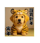 毎年使える♡ゴールデンレトリバー年末年始（個別スタンプ：31）