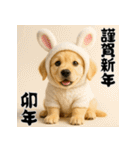 毎年使える♡ゴールデンレトリバー年末年始（個別スタンプ：32）