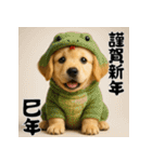 毎年使える♡ゴールデンレトリバー年末年始（個別スタンプ：34）