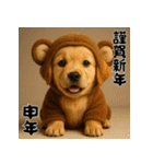 毎年使える♡ゴールデンレトリバー年末年始（個別スタンプ：37）