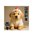 毎年使える♡ゴールデンレトリバー年末年始（個別スタンプ：38）