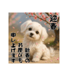 毎年使える♡マルチーズの年末年始スタンプ（個別スタンプ：2）