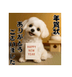 毎年使える♡マルチーズの年末年始スタンプ（個別スタンプ：3）