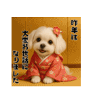毎年使える♡マルチーズの年末年始スタンプ（個別スタンプ：5）