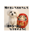 毎年使える♡マルチーズの年末年始スタンプ（個別スタンプ：8）