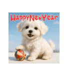 毎年使える♡マルチーズの年末年始スタンプ（個別スタンプ：9）