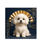 毎年使える♡マルチーズの年末年始スタンプ（個別スタンプ：11）