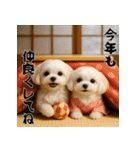 毎年使える♡マルチーズの年末年始スタンプ（個別スタンプ：13）