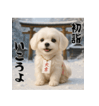 毎年使える♡マルチーズの年末年始スタンプ（個別スタンプ：14）