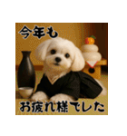 毎年使える♡マルチーズの年末年始スタンプ（個別スタンプ：15）