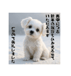 毎年使える♡マルチーズの年末年始スタンプ（個別スタンプ：22）