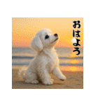 毎年使える♡マルチーズの年末年始スタンプ（個別スタンプ：23）