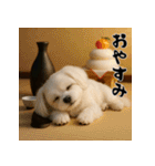 毎年使える♡マルチーズの年末年始スタンプ（個別スタンプ：24）