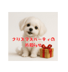 毎年使える♡マルチーズの年末年始スタンプ（個別スタンプ：26）