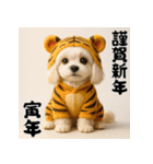 毎年使える♡マルチーズの年末年始スタンプ（個別スタンプ：31）