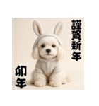 毎年使える♡マルチーズの年末年始スタンプ（個別スタンプ：32）