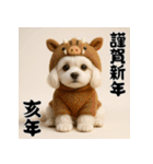 毎年使える♡マルチーズの年末年始スタンプ（個別スタンプ：40）