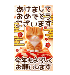 【あけおめ】茶トラ猫と白馬の年末年始（個別スタンプ：20）