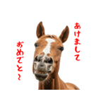 笑うウマには福きたる♪あけおめスタンプ（個別スタンプ：1）
