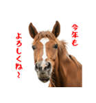 笑うウマには福きたる♪あけおめスタンプ（個別スタンプ：2）