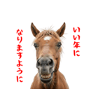 笑うウマには福きたる♪あけおめスタンプ（個別スタンプ：3）