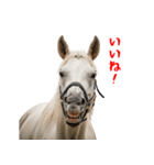 笑うウマには福きたる♪あけおめスタンプ（個別スタンプ：5）